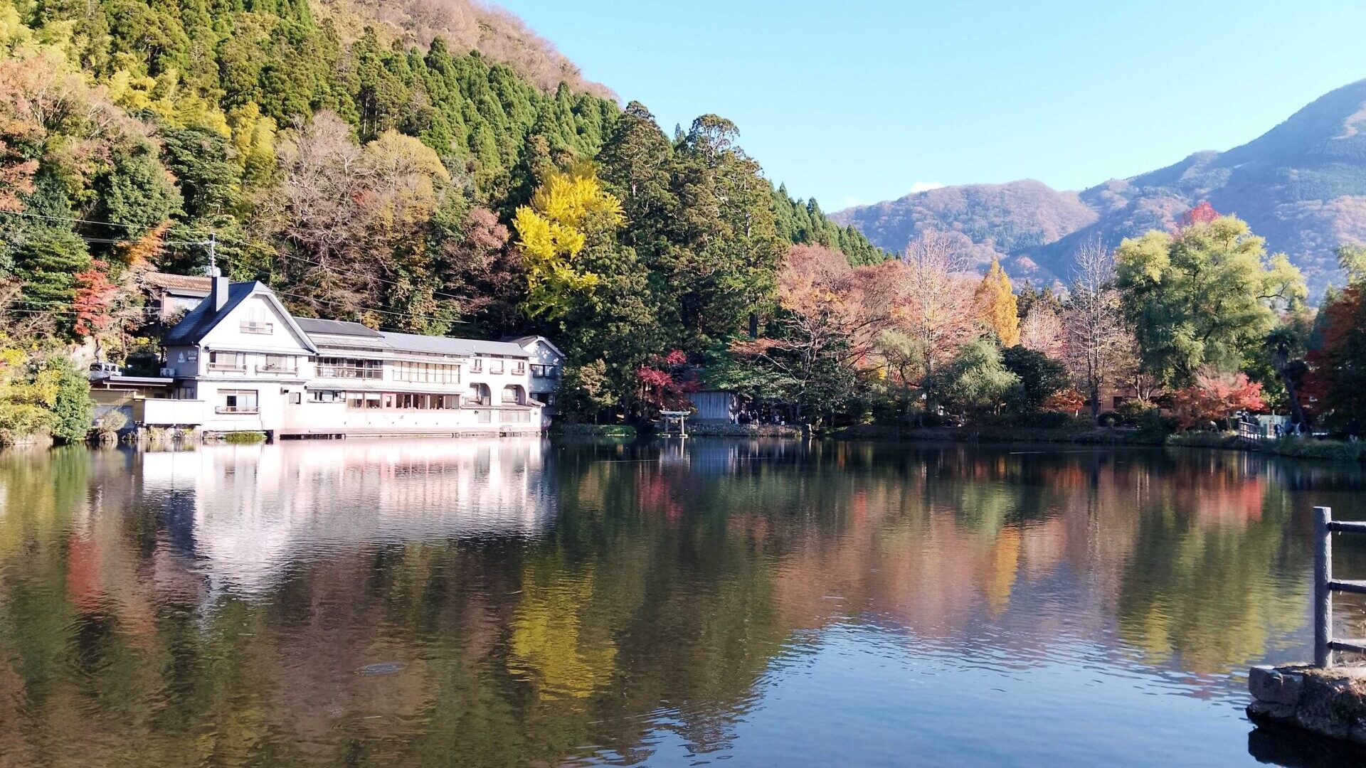 IMG_20251120_144015_3