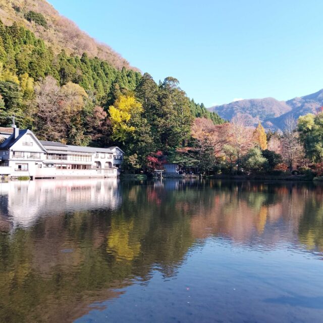 IMG_20251120_144015_3