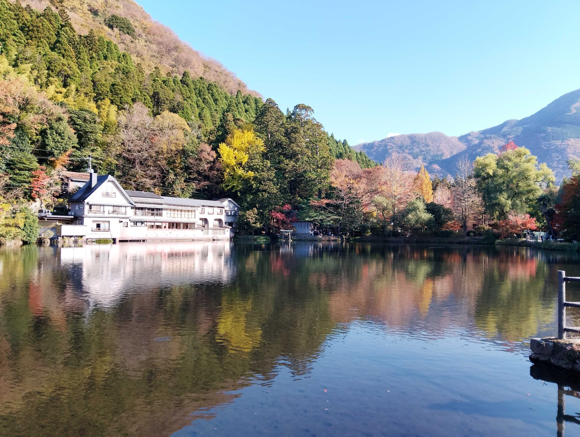 IMG_20251120_144015_3